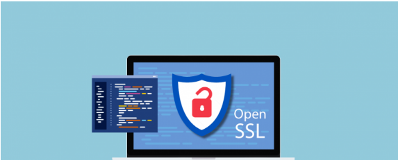 防范OpenSSL漏洞的5个技巧 image.png